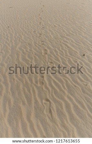 ripple in beach sand forming pattern or texture with footpath marks 106