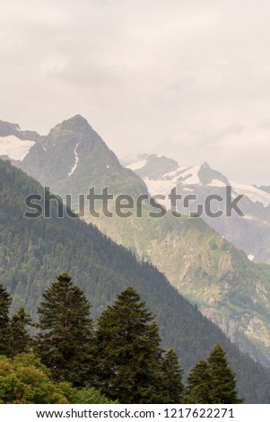 Panoramic view of mountain ridge at the Caucasus. Pine forest at the first plan. Dombay, Karachay-Cherkess Republic, Russia. Selective field of focus.