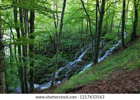 waterfall in forest, Plitvice (Croatia)