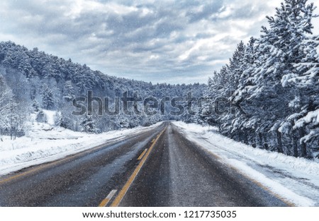Asphalt mountain road in the winter. The weather is very cold. Fabulous snow and winter landscape. Domanic, Uludag, Bursa.