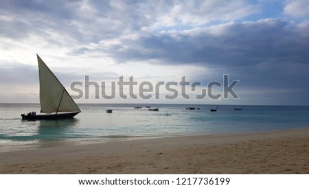 Paradise beach of Zanzibar, Tanzania
