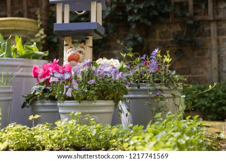 Flowers in blue pots in beautiful garden: purple pansies, pink cyclamen, white primroses, blue creeping myrtle. A bird feeder is in a shape of a blue house. Concept: gardening and English garden.