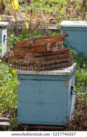 Picture of a bee farm in Eastern Europe. The old hat, which has old frames on the lid.