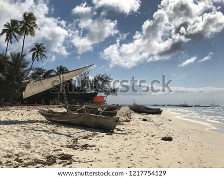 Paradise Beach View of Zanzibar, Tanzania