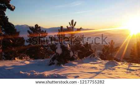 Snow mountain wildlife