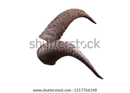pair of brown goat horns isolated on white background Royalty-Free Stock Photo #1217766148