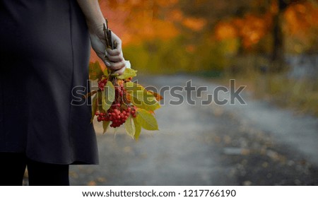 The girl is holding a bouquet of lingonberries and autumn yellow leaves against the background of the road going into the forest. Autumn picture. Road to autumn