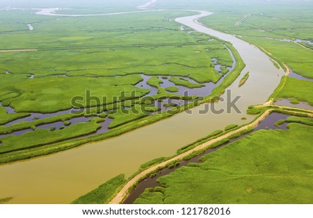 Aerial view of lush coastal wetlands