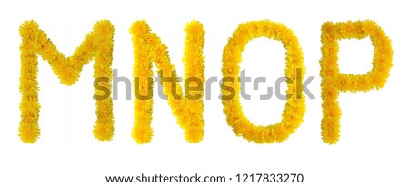 Flower font of dandelions M, N, O, P, from fresh flowers on a white background. Dandelion font for unique decorating ideas.