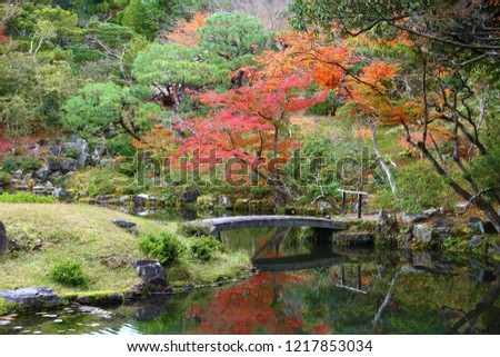 Traditional Japanese garden in autumn 