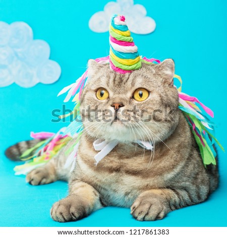 Cute cat unicorn with clouds on a blue background with clouds. The concept of fairy tales, fashion, funny and sweet cats, love and holiday