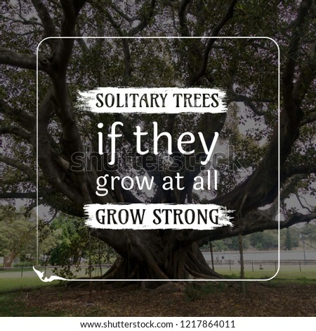 solitary trees if they grow at all grow strong motivation quote