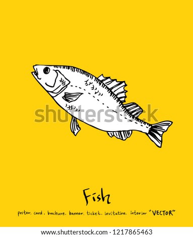 Sea food sketch / Hand drawn food ingredients - vector