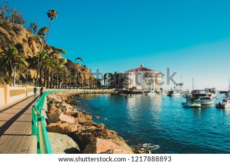 Shore at Avalon, Catalina Island, California. Royalty-Free Stock Photo #1217888893