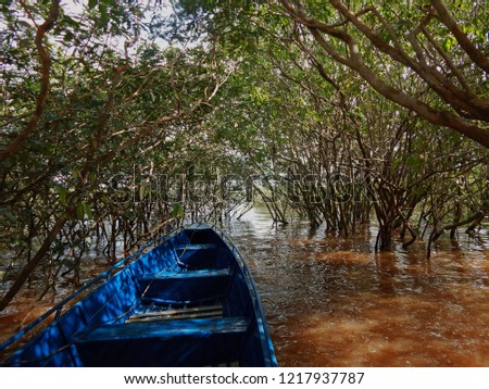                      blue boat in the middle of the amazon forest between trees          