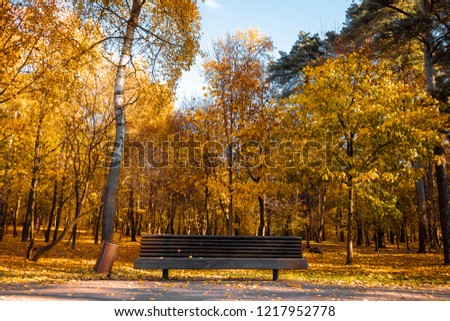 Bench in the park, golden autumn, outdoor recreation.
