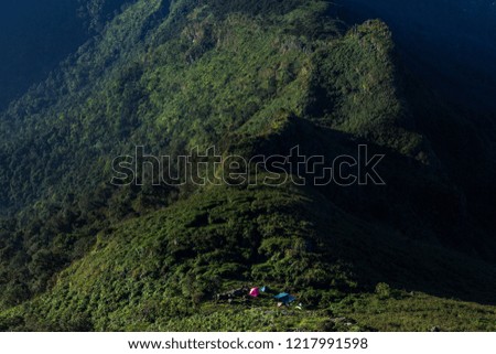 View of mountain forest trees,a beautiful natural beauty on mountain in Nan.Doi Phu Ware,Nan Province, Thailand