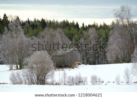 Old barn on a field next to forest in winter landscapes 