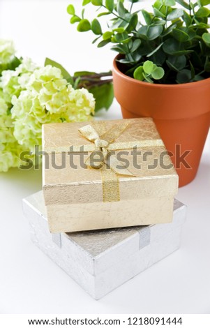a still-life photograph of a gift box and a flowerpot