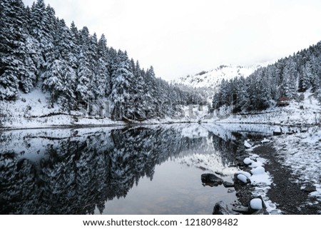snowy lake and forest landscape photos.savsat/artvin/turkey