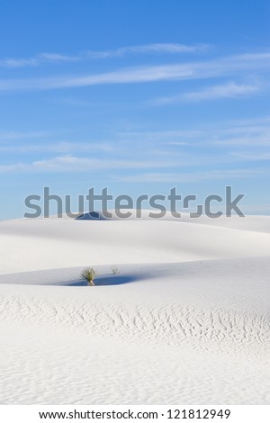  White Sands National Monument, New Mexico, USA.