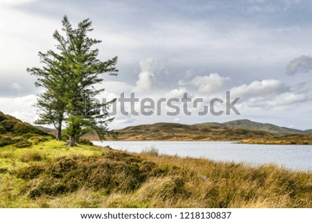 This picture was taken on a small mountain island lake.  There is only these three pine trees  on the island.