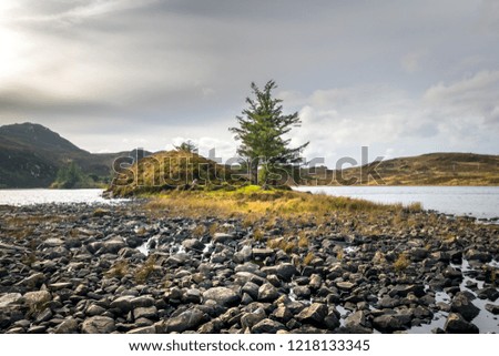 This picture was taken on the rocky shore of a small island in mountain  lake.  There is three pine trees  on the island.
