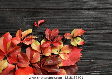 Flat lay composition with autumn leaves and space for text on wooden background
