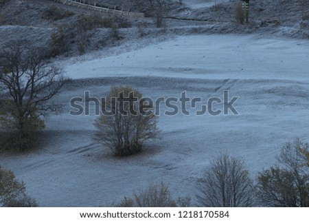 snowy forest and village landscape photos.savsat/artvin/turkey