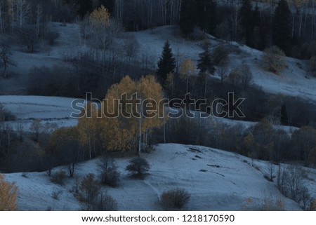 snowy forest and village landscape photos.savsat/artvin/turkey