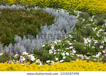 flower bed in city park in south germany