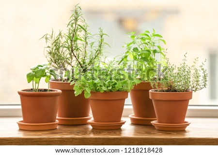 Pots with fresh aromatic herbs on wooden windowsill Royalty-Free Stock Photo #1218218428