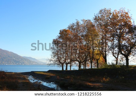 Beautiful morning in Baveno, little Italian town. Lago Maggiore, mountains and yellow autumn trees.