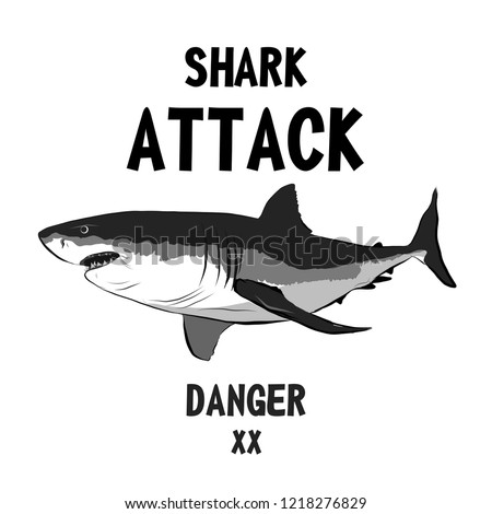 Shark vector for t shirt printing and pattern, Graphic tee and printed tee
