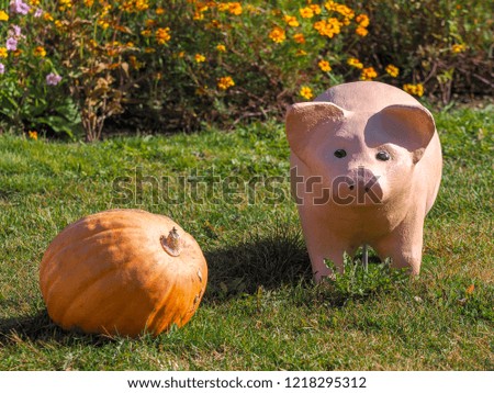 Pig ornament and pumpkin.