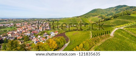 View of vineyards from Ortenberg castle. Germany