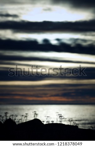 Powerful landscape with unsharp background with clouds in cold colors perfect for message or text. 