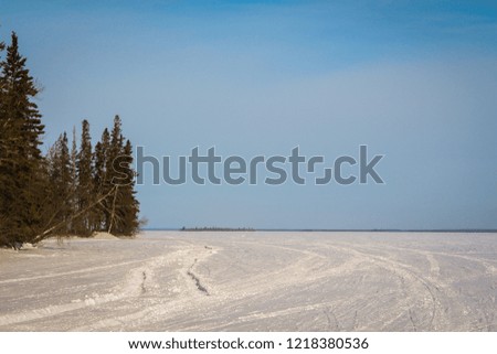 Frozen lake in the middle of wild nature. Endless forests are surrounding the icy lake.