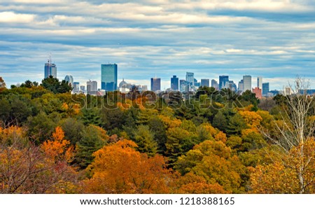 Boston Skyline from Peters Hill in the Arnold Arboretum