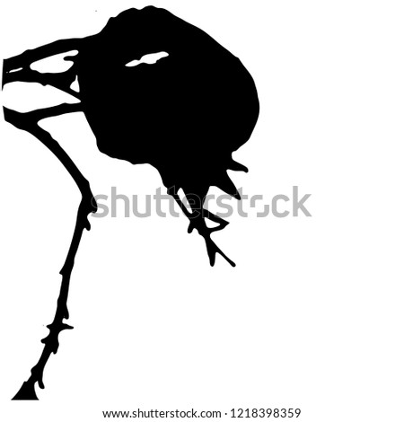 Dried Pomegranate. Vector illustration. Silhouette. Isolated background. Black on white. Fruits on the pomegranate tree with branches and leaves. Jewish new year. Celebration. Tree in the garden. Royalty-Free Stock Photo #1218398359