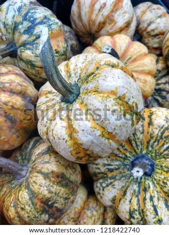 Heap of Striped Decorative Gourds and Pumpkins at a Farmer's Market