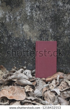 A book placed next to a stone wall on top of a pile of fallen leaves.