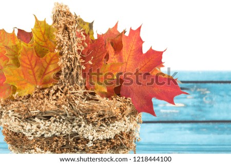 Maple leaves in a basket wood and white background