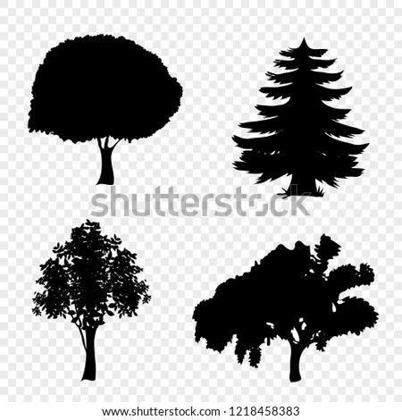 Vector set of trees icons. Black silhouettes of foliar and pine trees isolated on transparent background.