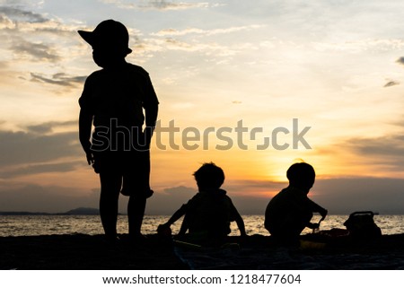 The silhouette brothers are playing together at the beach in evening.