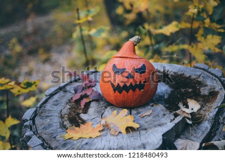 pumpkin jack in the autumn park
