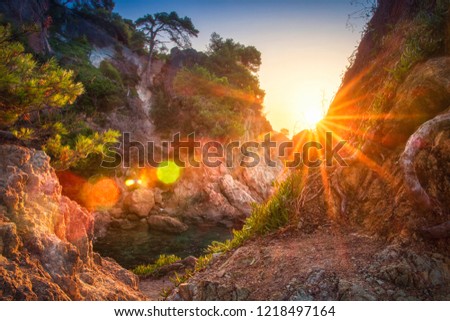 Mediterranean nature at sunrise with bright golden sunbeams. Amazing landscape of trees, rocks, sea and hills on spanish coastline. Warm sunlight on way to sea bay. Rocky shore in bright morning