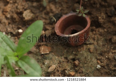 A picture of a tiny pot in mud.