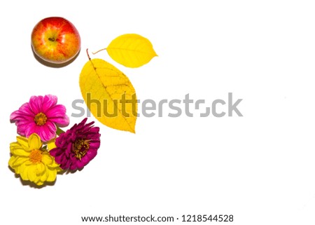 copy space, from above isolated: Zinnia, apple, yellow leaves