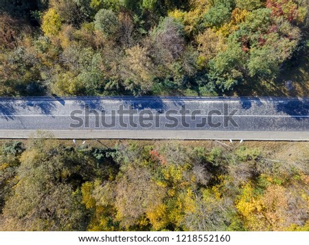 aerial view over car travelling through colorful forest